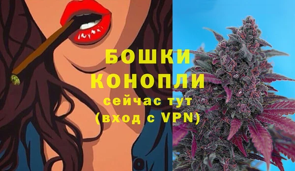 PSILOCYBIN Кинешма