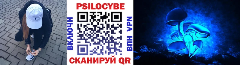 Галлюциногенные грибы Psilocybine cubensis  Талица 